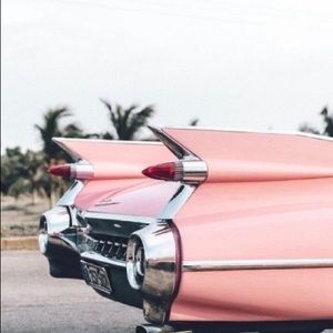 Meet your Posher, Trina